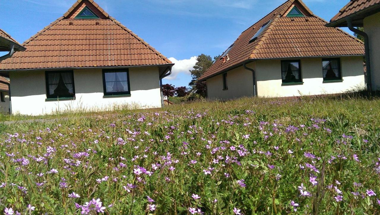 Jugendtours-Feriendorf Ummanz Exterior foto